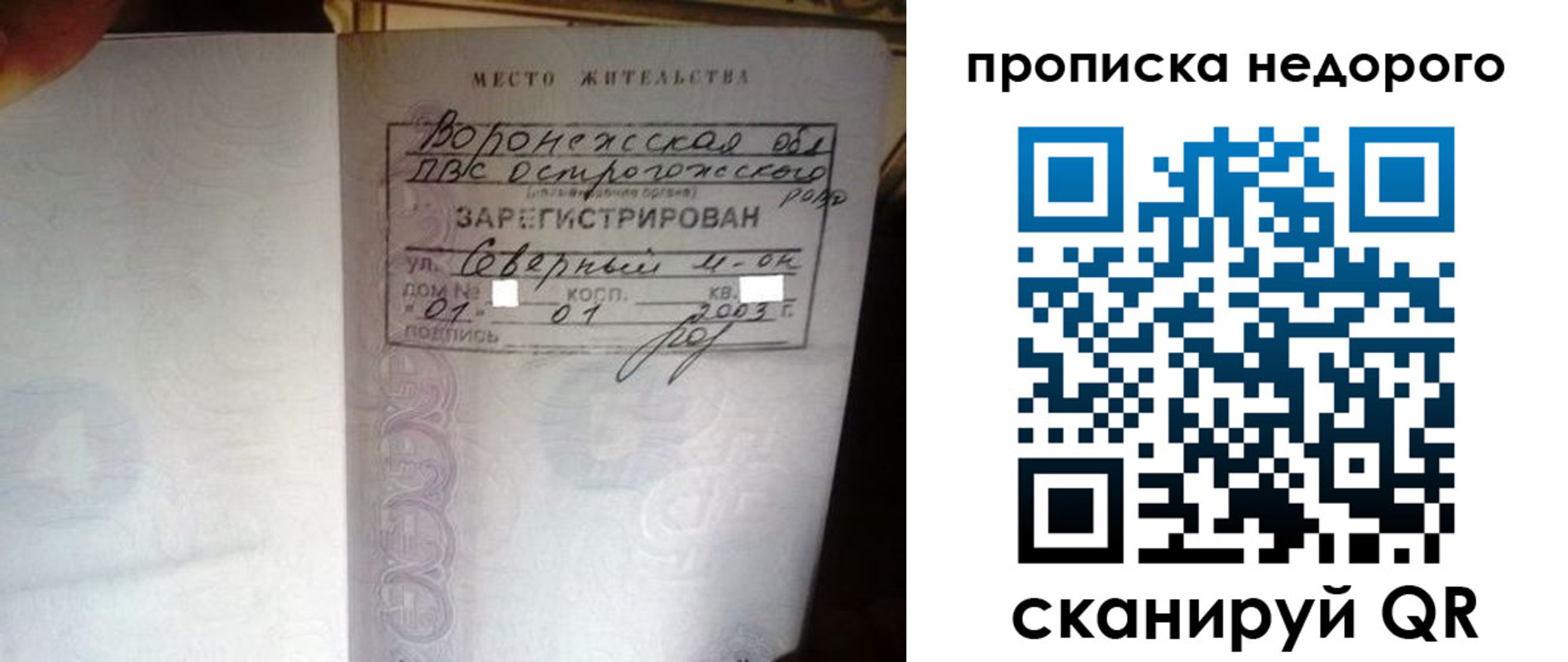 временная регистрация поиск в Камчатской области